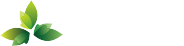 Tradefog Packaging Logo